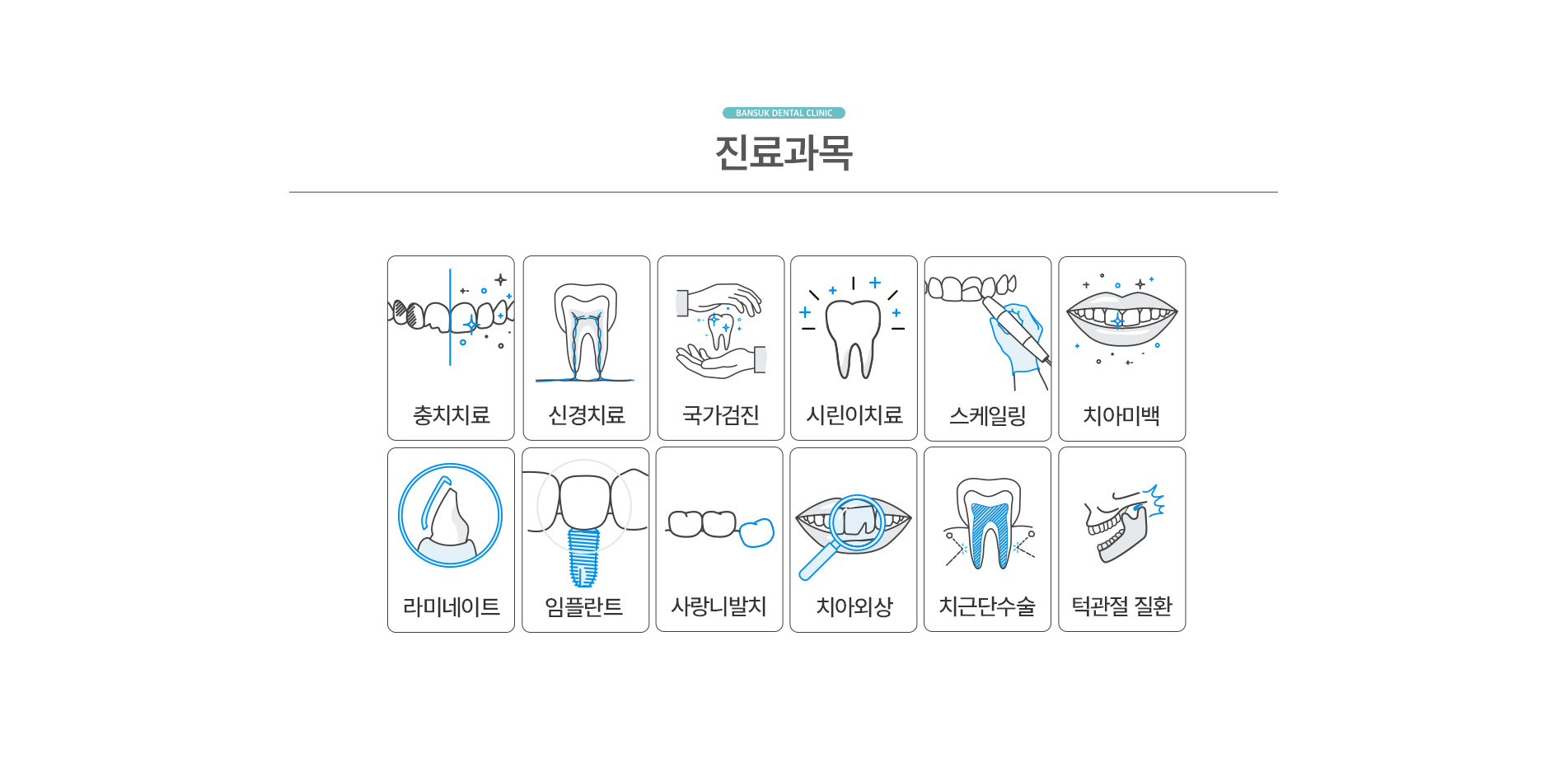 진료과목